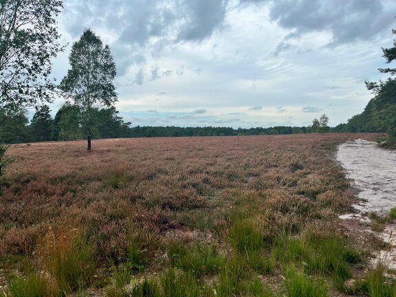 23-09-18 14-19-09 7050